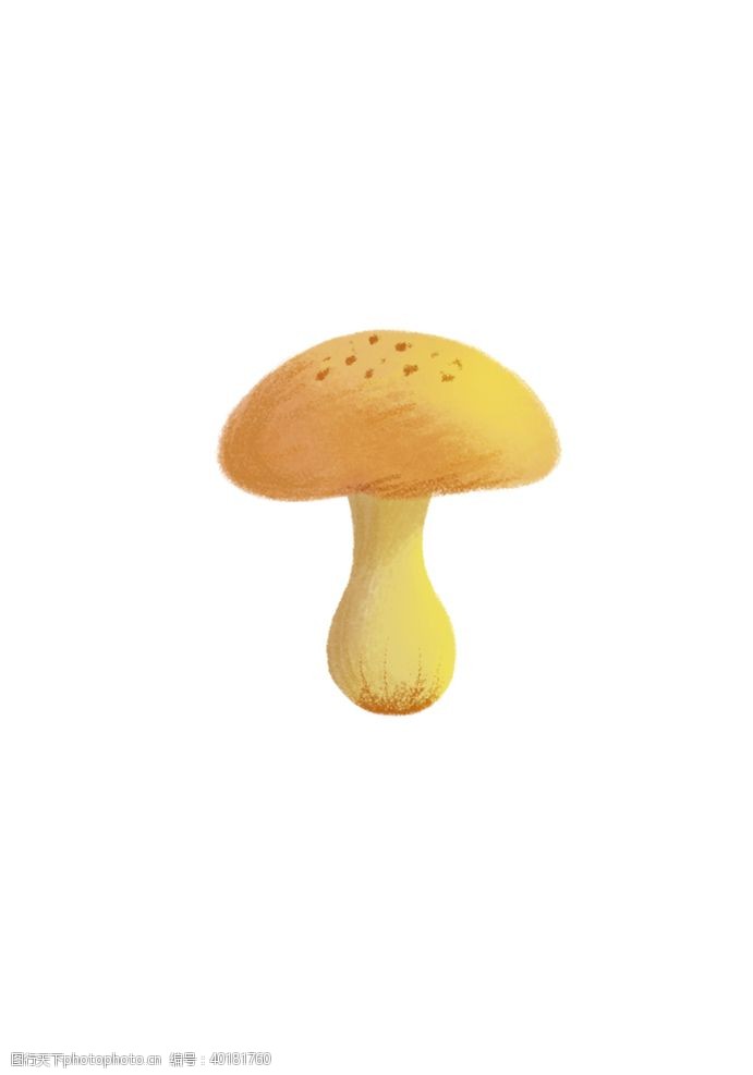 蘑菇素材蘑菇图片