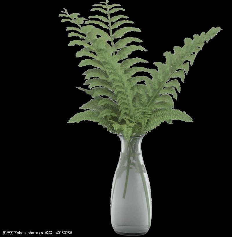 国内广告设计盆栽植物绿色叶子图片