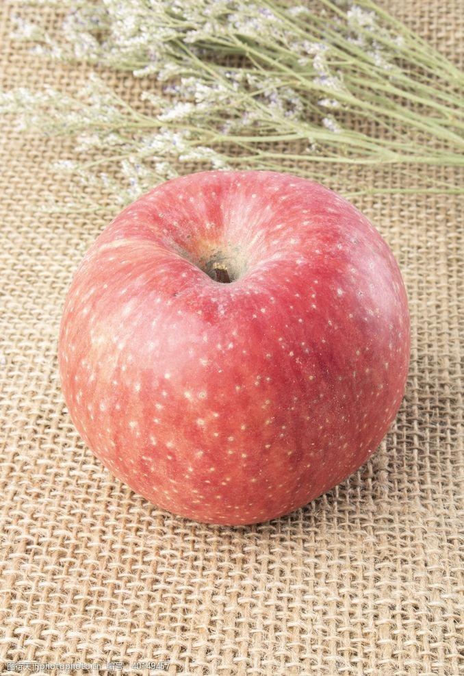 生鲜水果素材苹果特写图片
