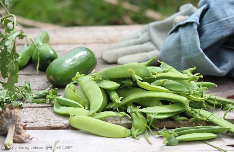 高清蔬菜青豆图片