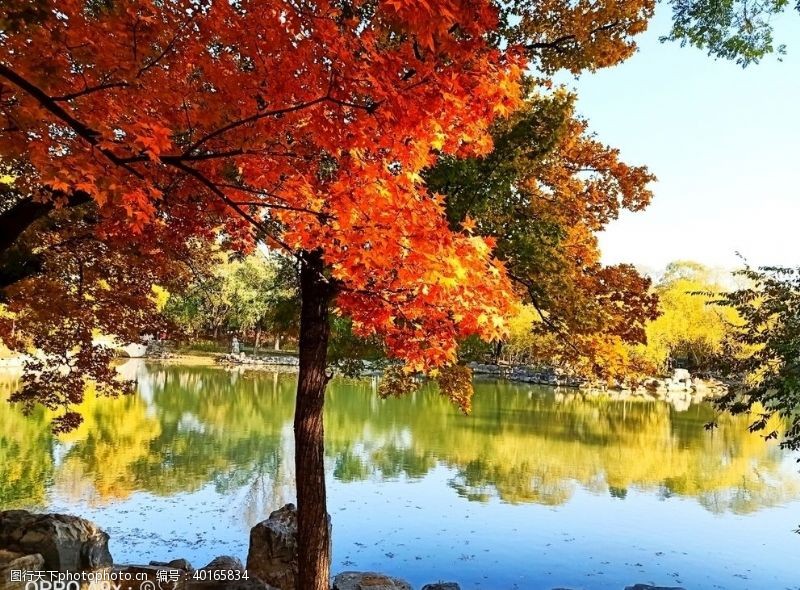 五彩秋天的景图片