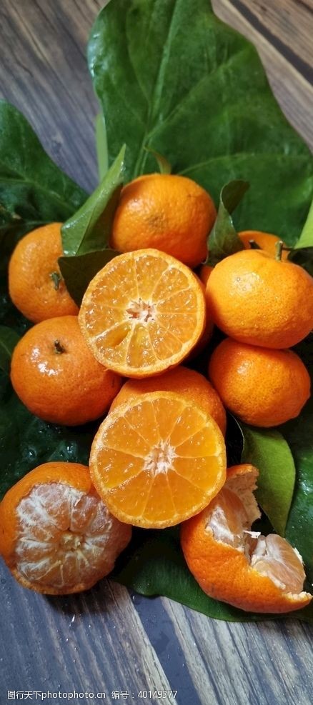 水世界砂糖橘砂糖桔桔子水果图片