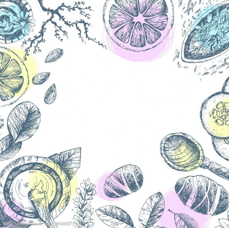 热带植物手绘线稿图片