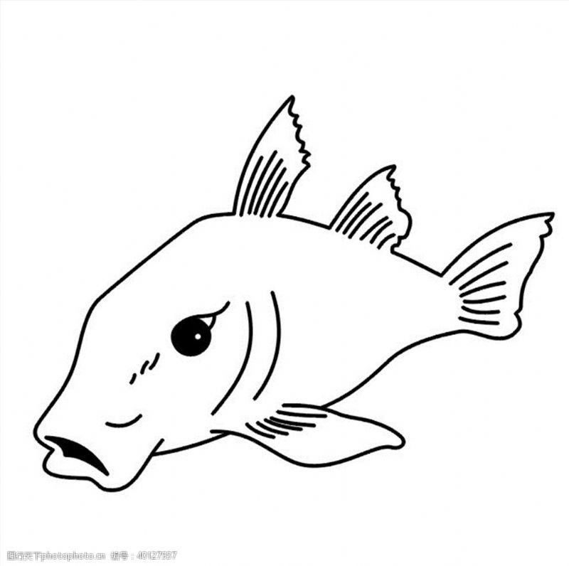 白描手绘鱼图案图片
