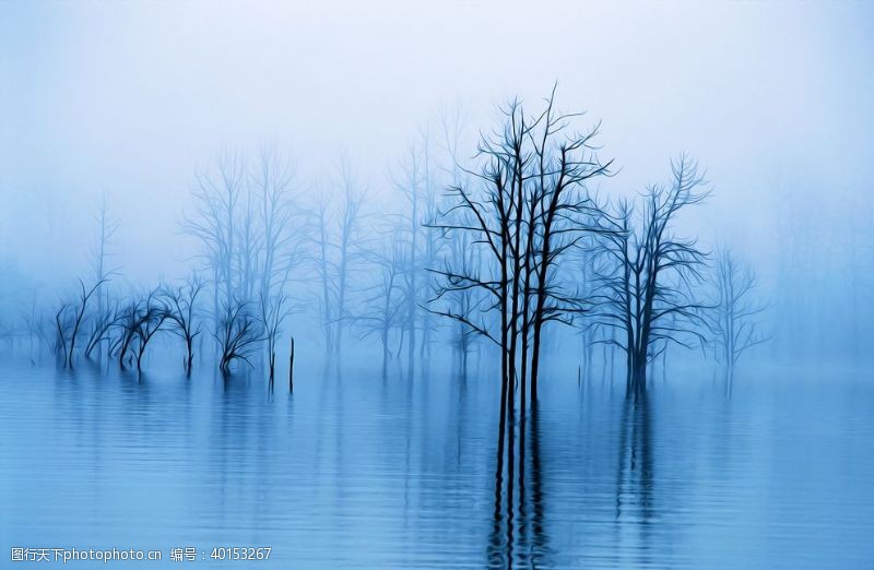树叶背景水雾风景油画图片