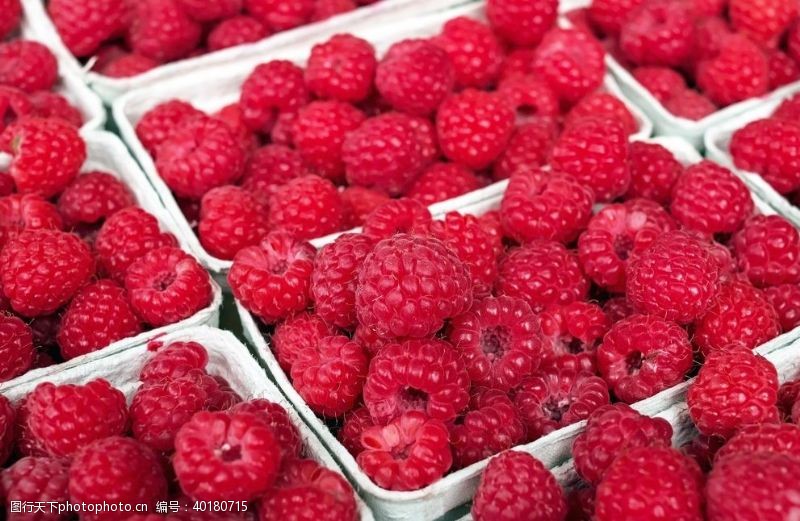 新鲜水果素材树莓图片