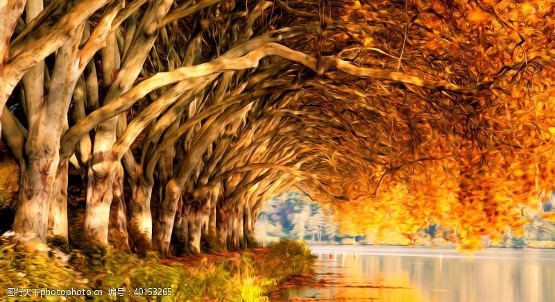 秋装摄影树阴风景油画图片