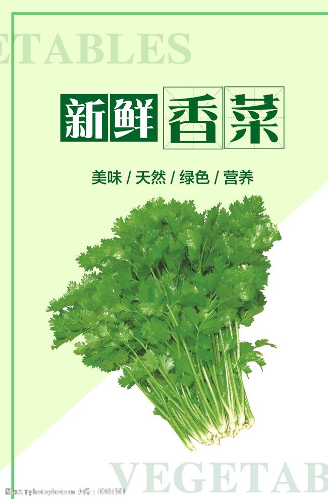 蔬果海报香菜海报图片