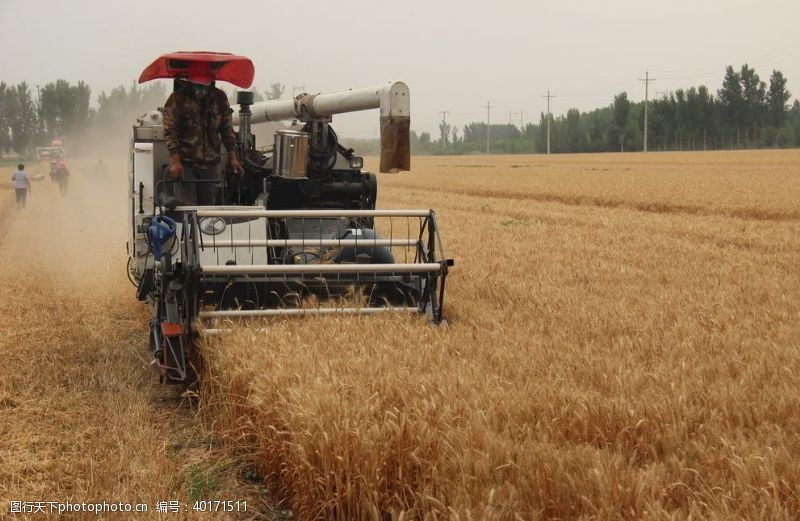 科技农业小麦联合收割机图片