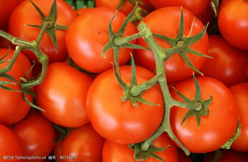 蔬菜宣传单西红柿图片