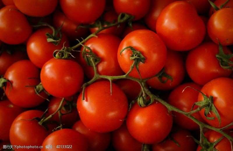 番茄片西红柿图片