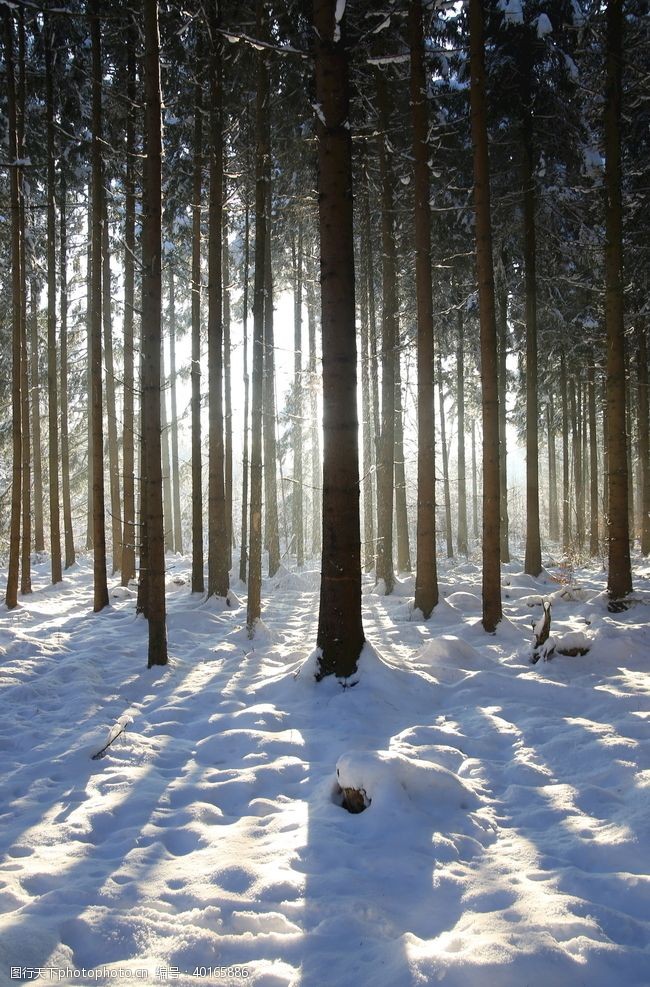 美白雪景图片