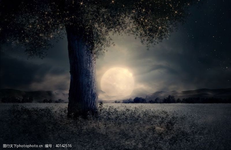 月亮之夜图片免费下载 月亮之夜素材 月亮之夜模板 图行天下素材网