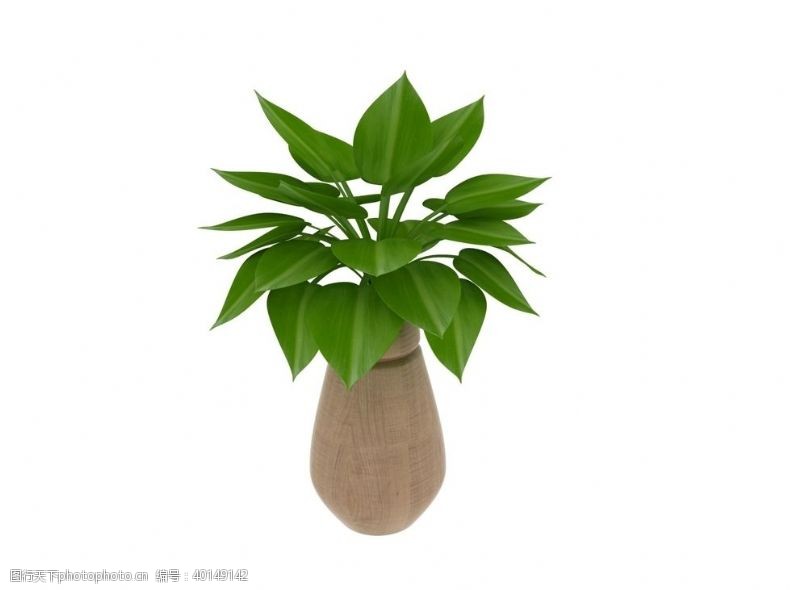 c4d模型植物盆栽3d模型图片