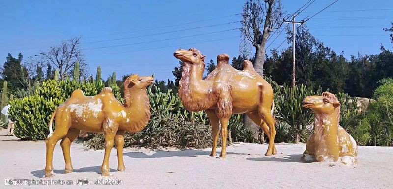 植物雕塑植物园骆驼雕塑图片