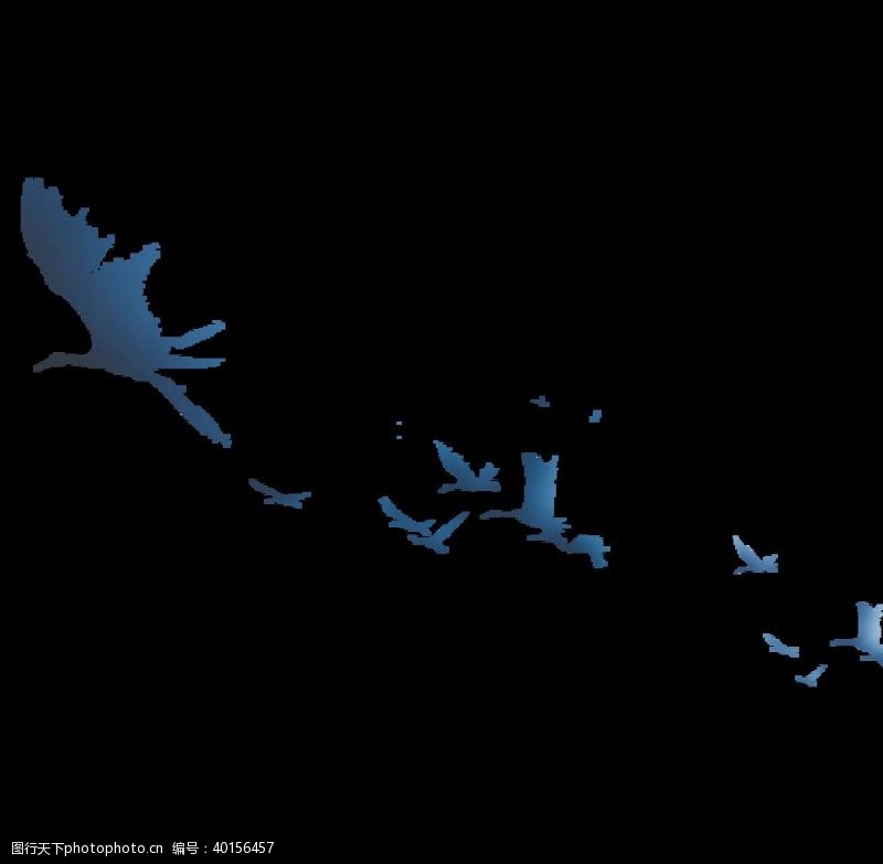 牡丹花节综合鸟类免抠PNG透明图片素材