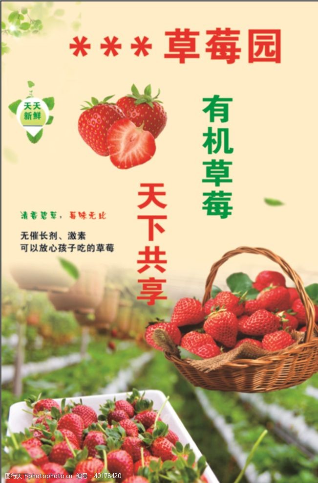 新鲜水果素材草莓图片