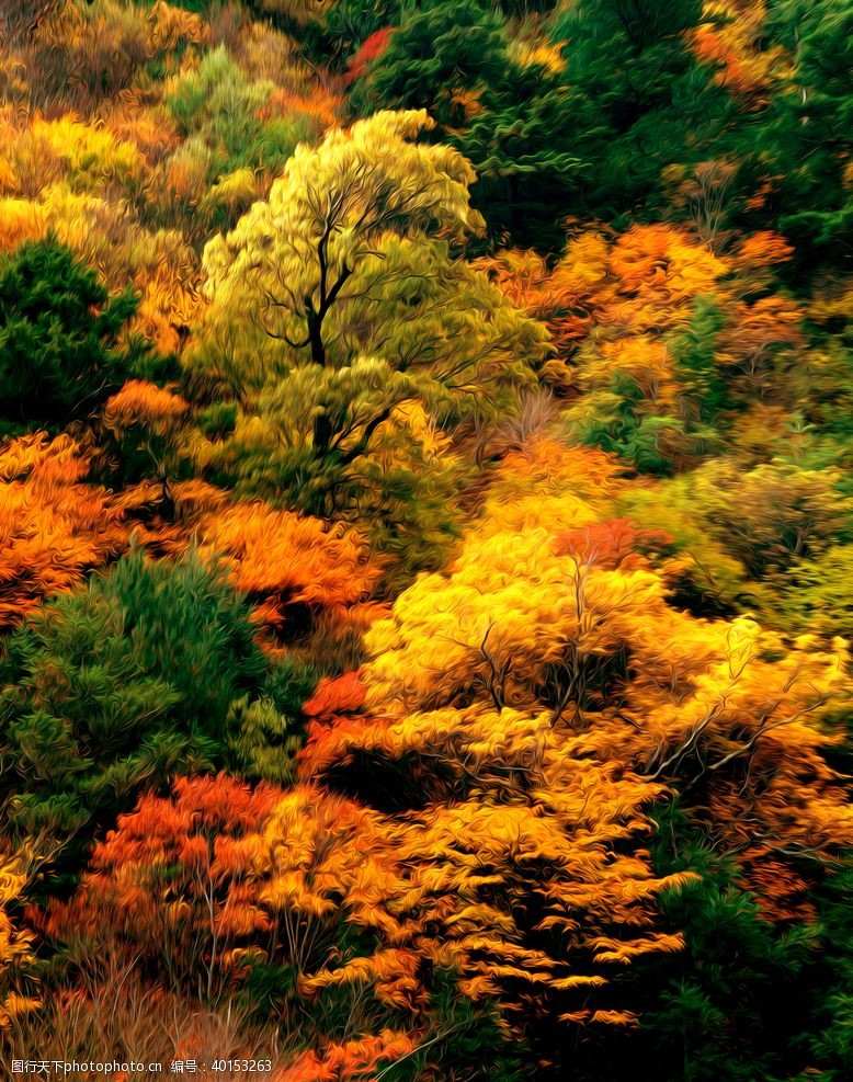 落叶地面枫树林风景油画图片