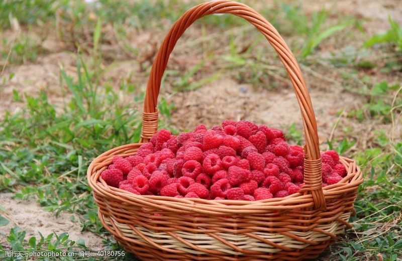 生鲜水果素材红莓图片