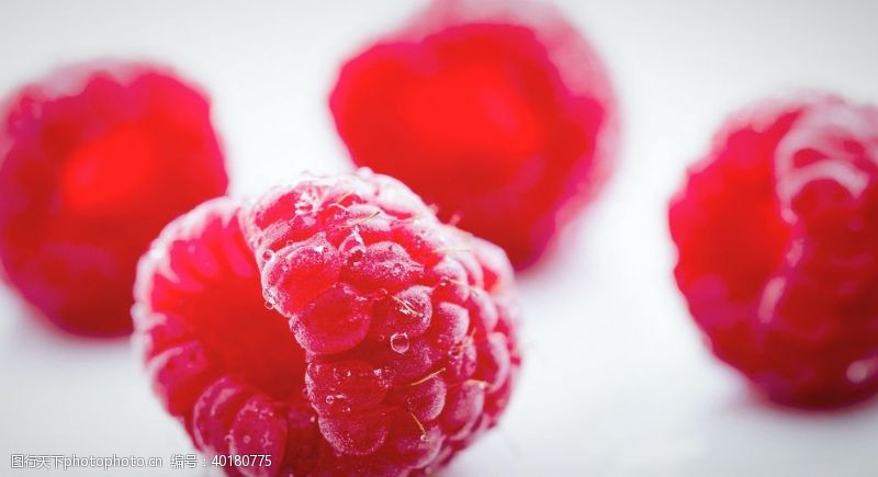 桑葚红莓图片