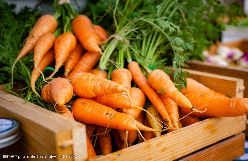 蔬菜批发市场胡萝卜图片