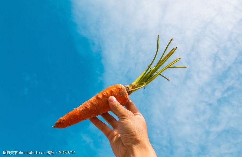 蔬菜海报胡萝卜图片