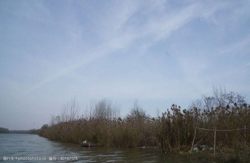 绿水青山芦苇图片