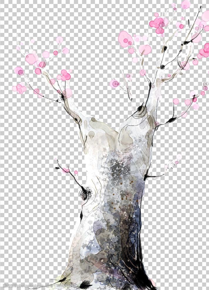 腊梅梅花树图片