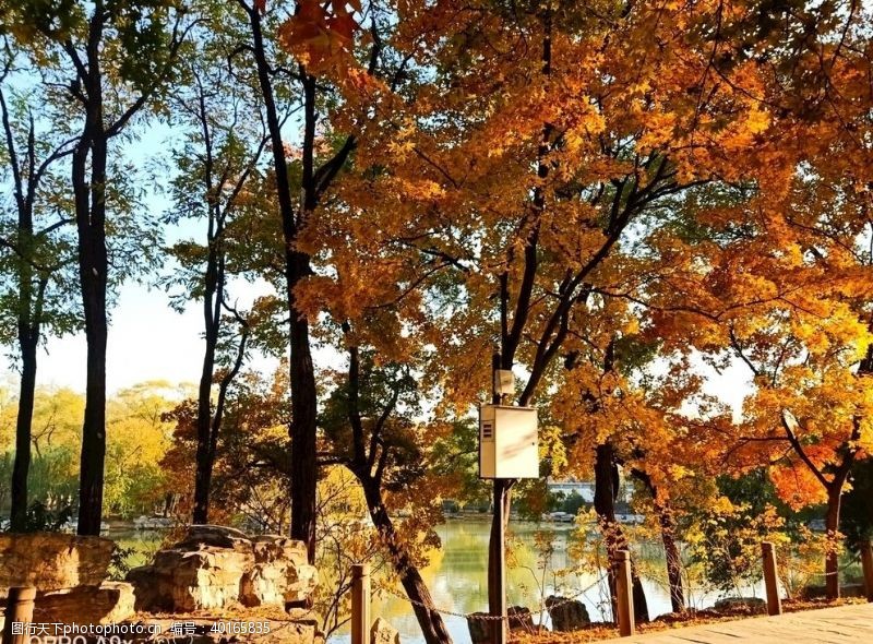 自然景观秋天的景图片