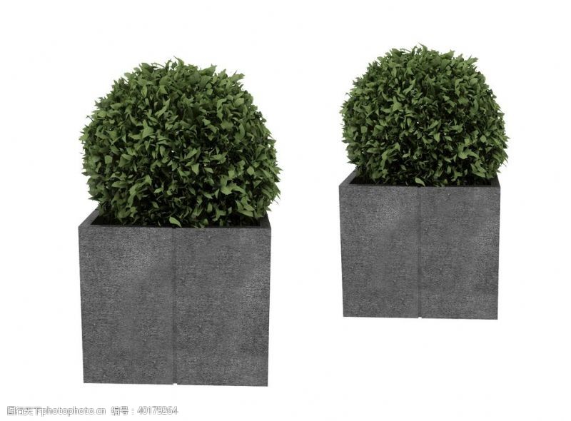 max球形植物盆栽3d模型图片