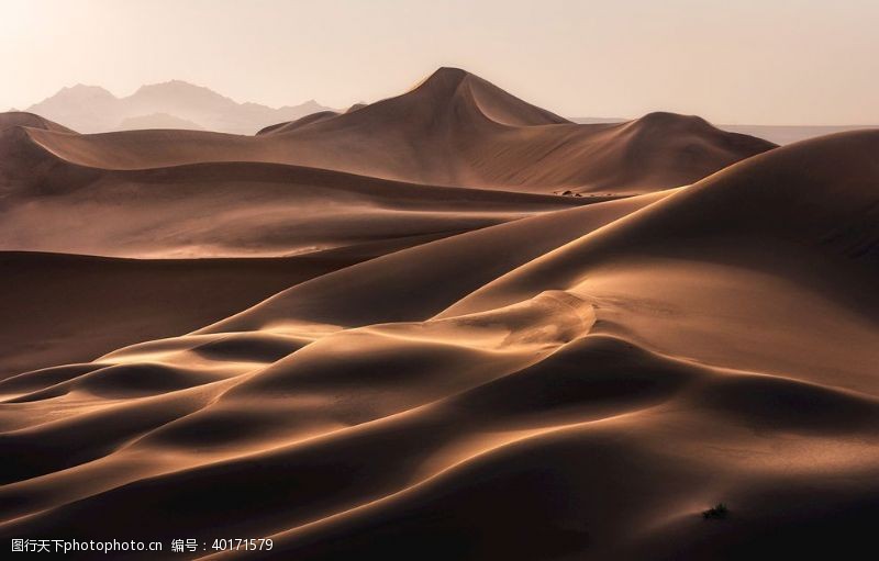 卷物沙漠图片