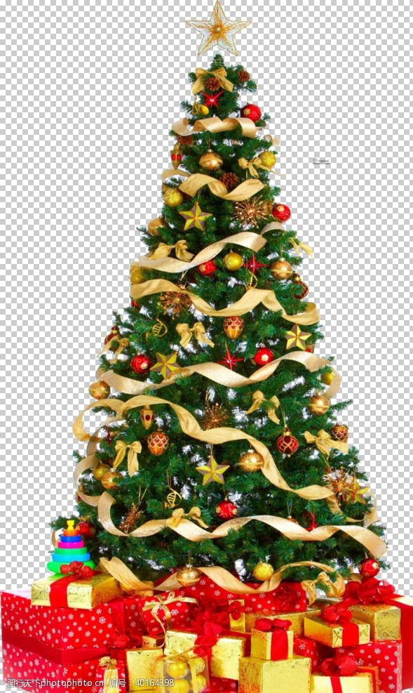 雪松圣诞树素材图片