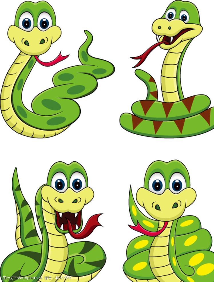 舌头蛇图片