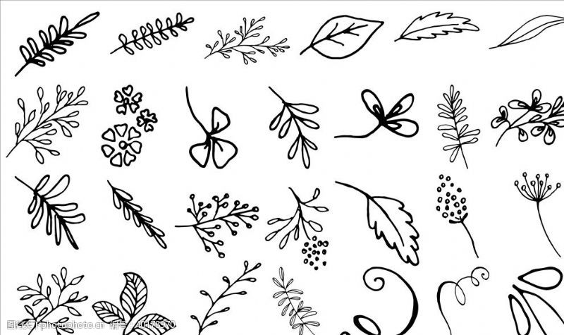 织物手绘植物背景图片