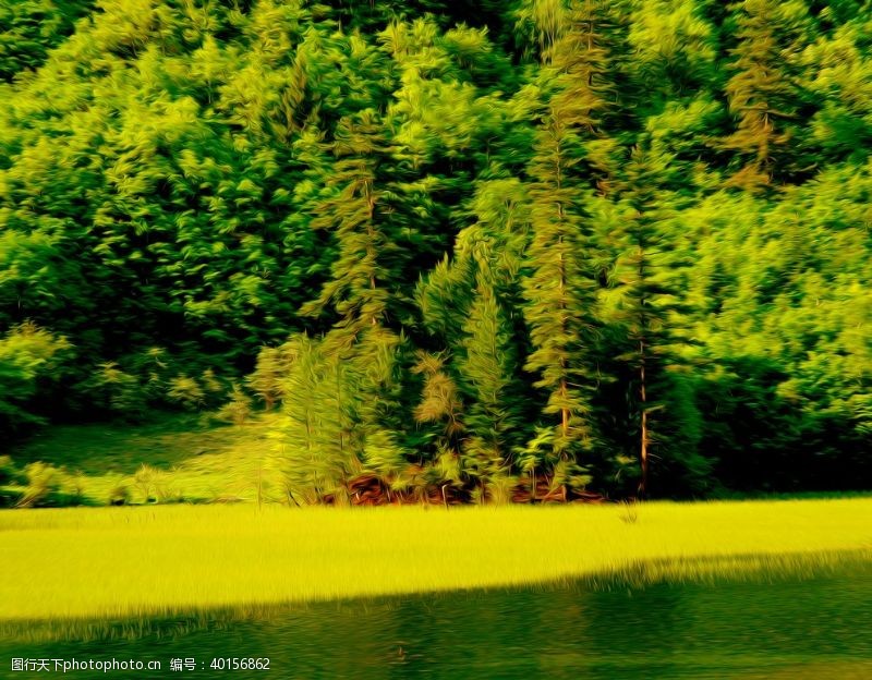 光树林风景油画图片