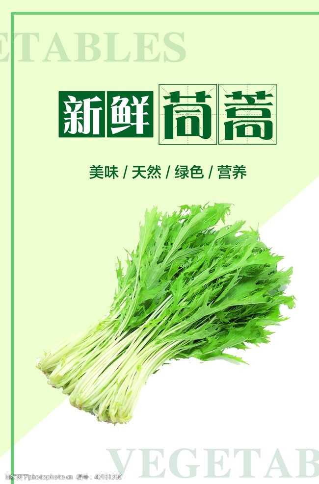 绿色蔬菜海报素材茼蒿海报图片