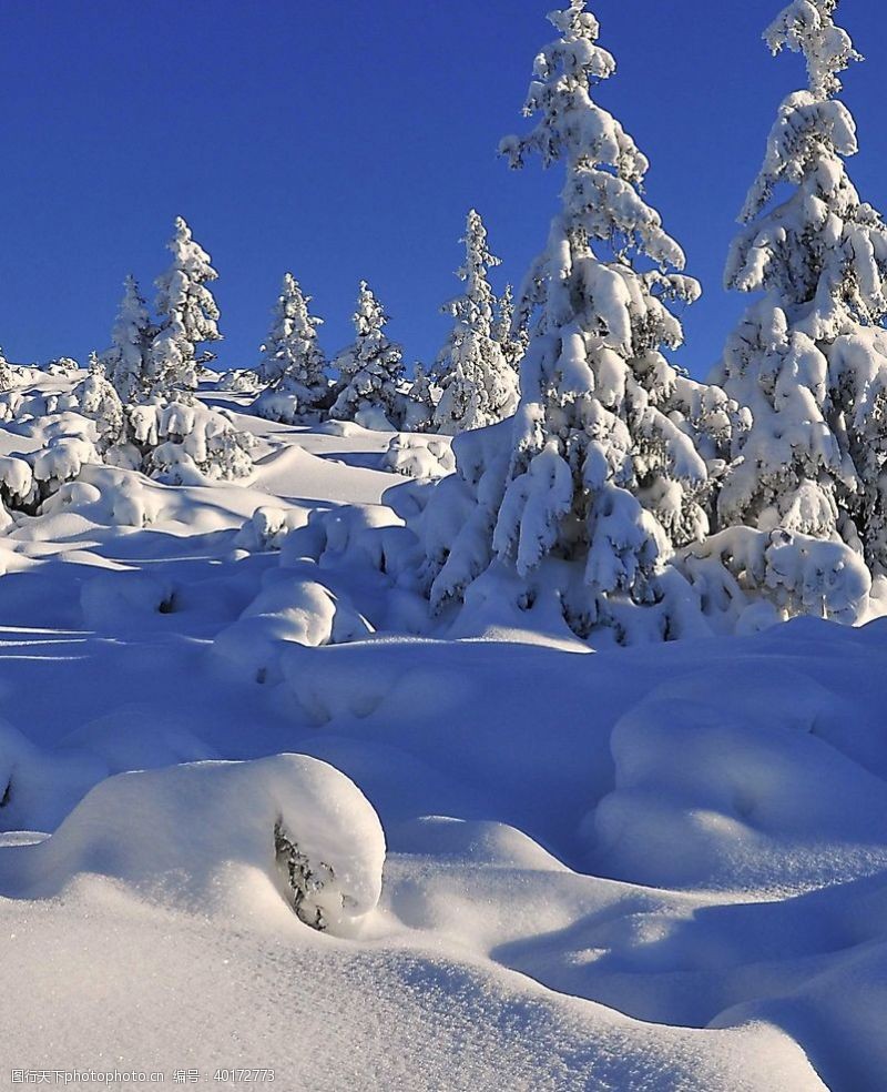 美景雪景图片