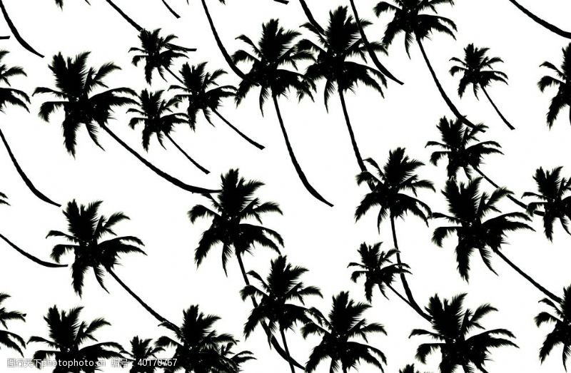 潮牌设计椰树图片