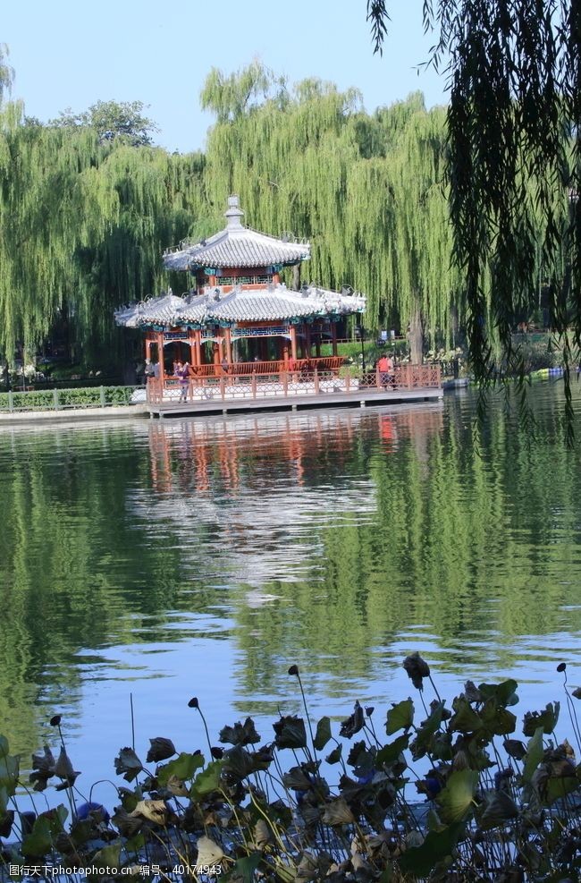 植物园风景园林风景图片