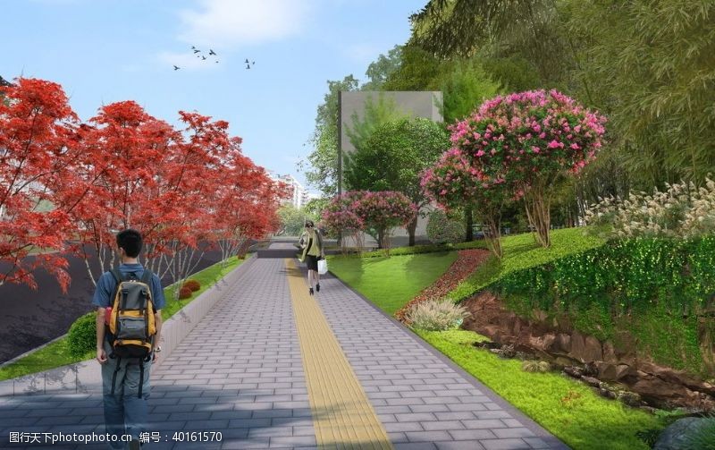 升级城市改造道路绿化图片