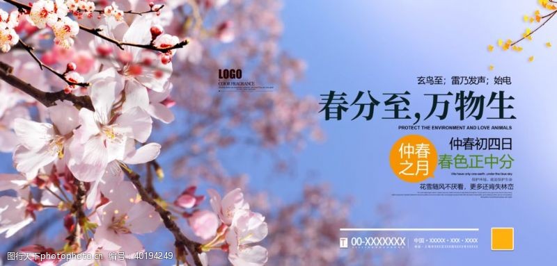 清明节日春分图片