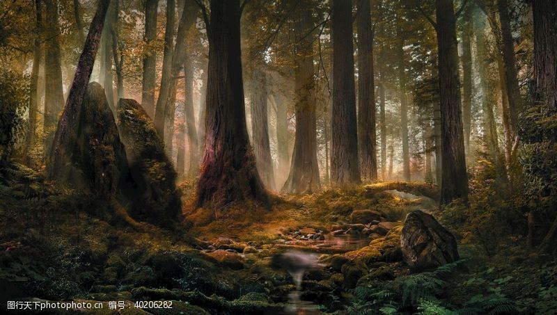 背景森林图片免费下载 背景森林素材 背景森林模板 图行天下素材网