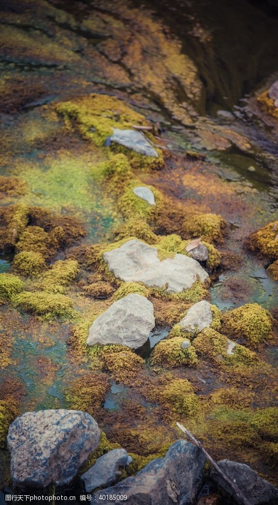 水污染干涸的河流图片