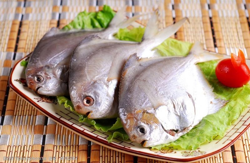 食用鱼荤鲳鱼图片
