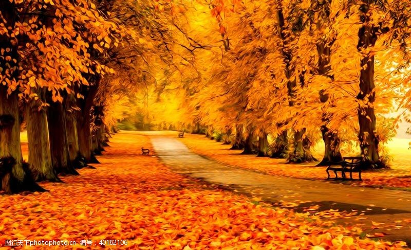 黄色花朵秋天落叶风景油画图片