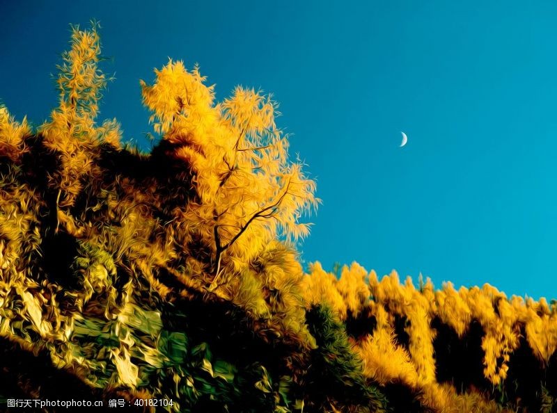 树叶背景秋天月亮风景油画图片
