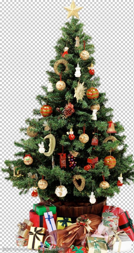 树皮圣诞树素材图片