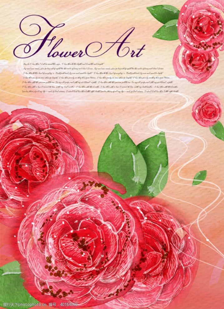 玫瑰纹样背景图案文字排版图片