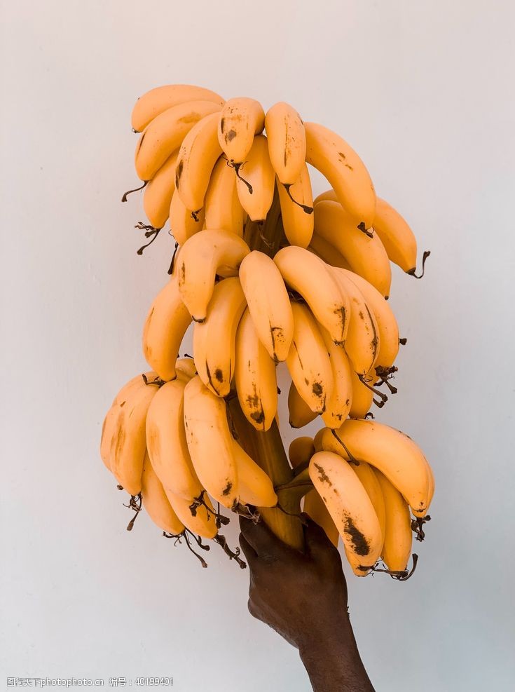 种植香蕉图片