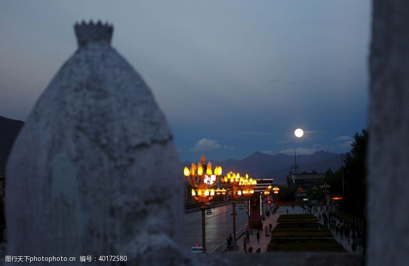 明月西藏布达拉宫赏月图片